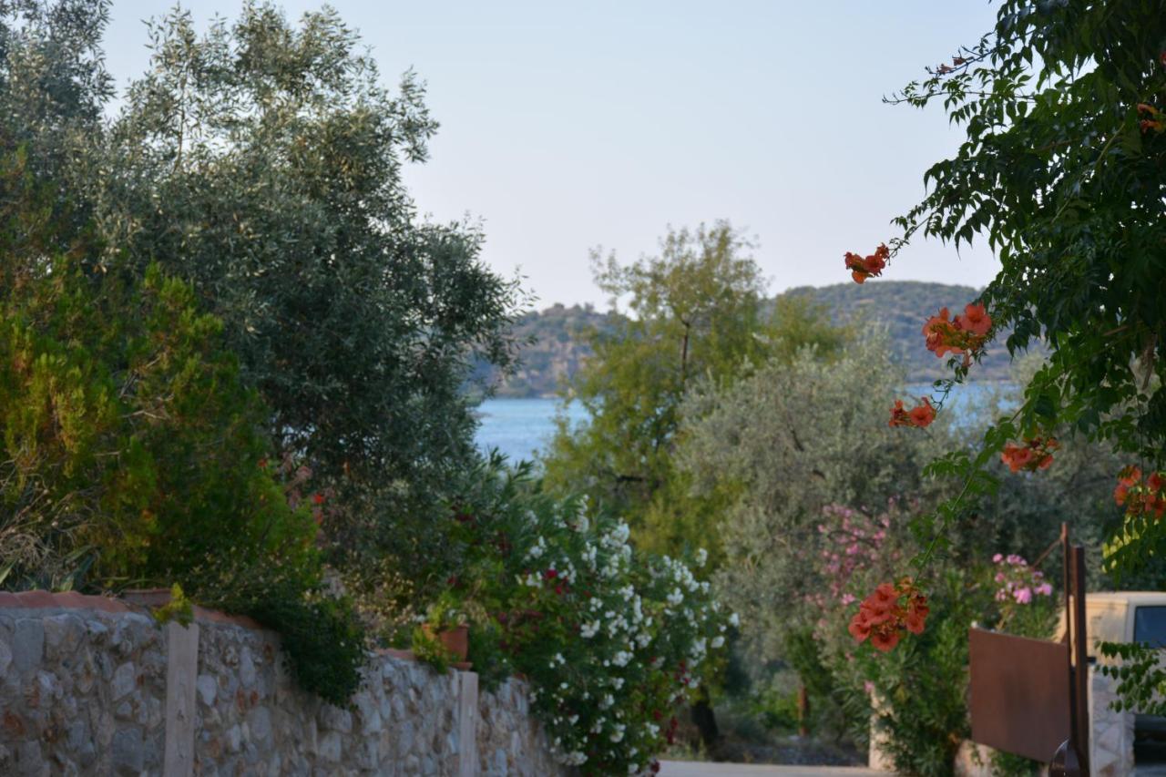 Aristotelis Epidaurus ภายนอก รูปภาพ